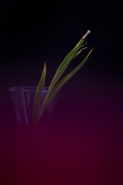 Nome File=mm_~2.jpg
Dimensione File=214KB
Dimensioni=667x1000
Data aggiunta=Feb 02, 2016 mm_~2.jpg