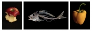 Nome File=mm_rinascita_.jpg
Dimensione File=136KB
Dimensioni=1000x339
Data aggiunta=Ott 03, 2018 mm_rinascita_.jpg