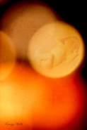 Nome File=peace_and_love.jpg
Dimensione File=282KB
Dimensioni=667x1000
Data aggiunta=Dic 31, 2010 peace_and_love.jpg