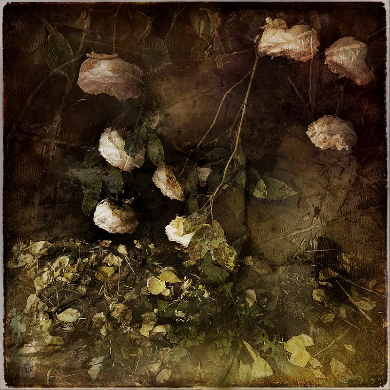Clicca per l'immagine full size