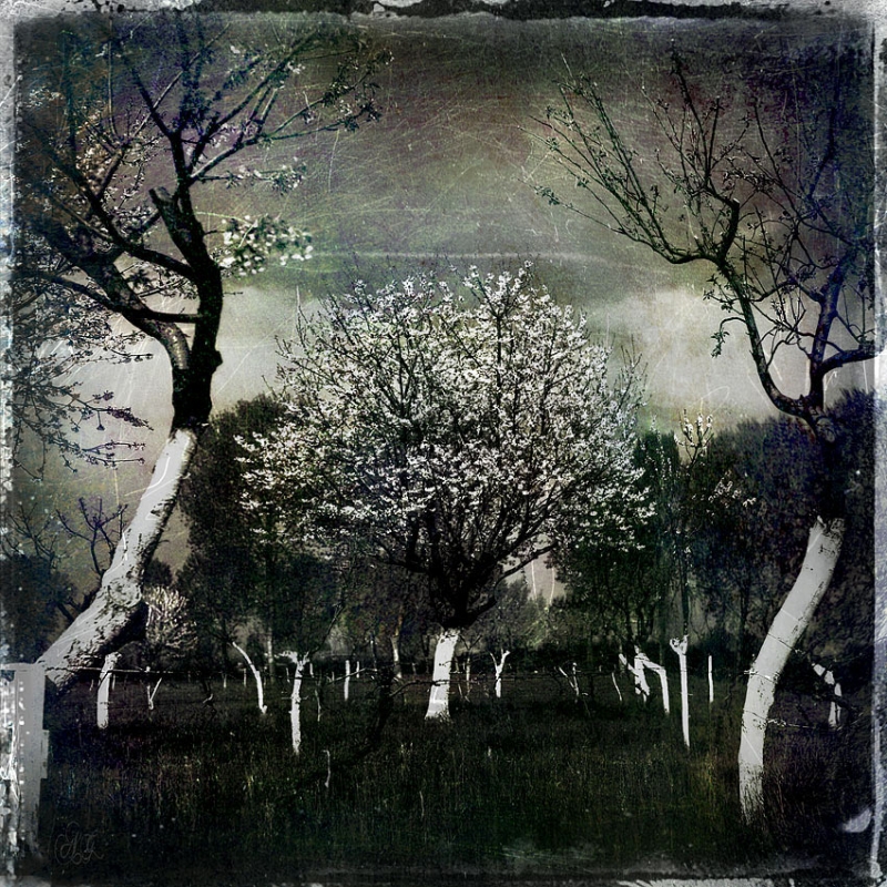 Clicca per l'immagine full size