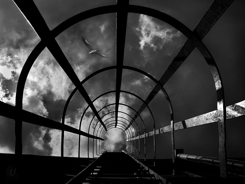 Clicca per l'immagine full size