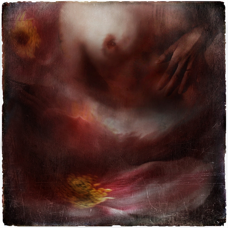 Clicca per l'immagine full size