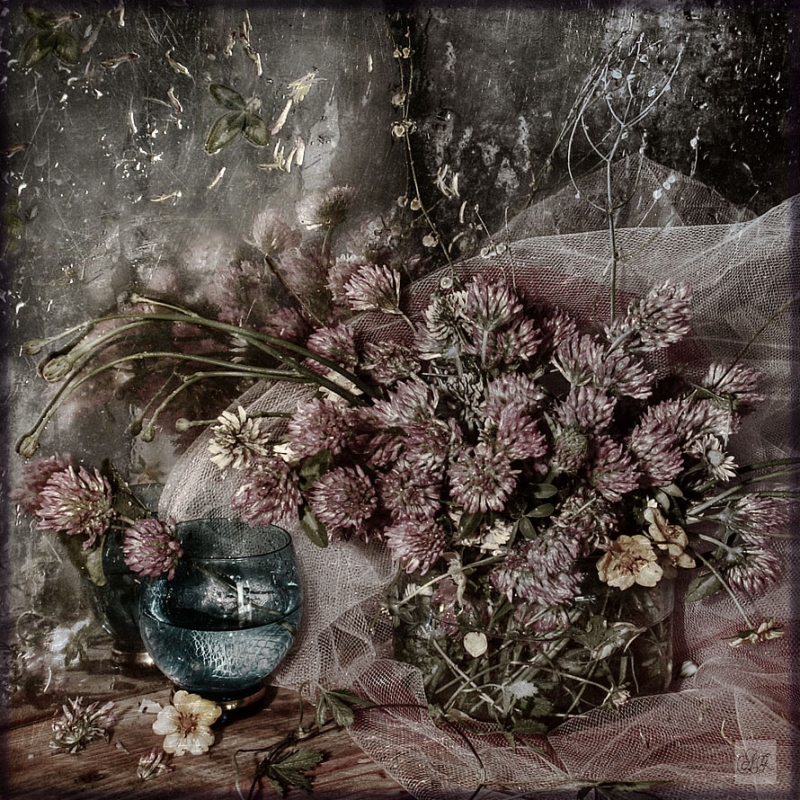Clicca per l'immagine full size