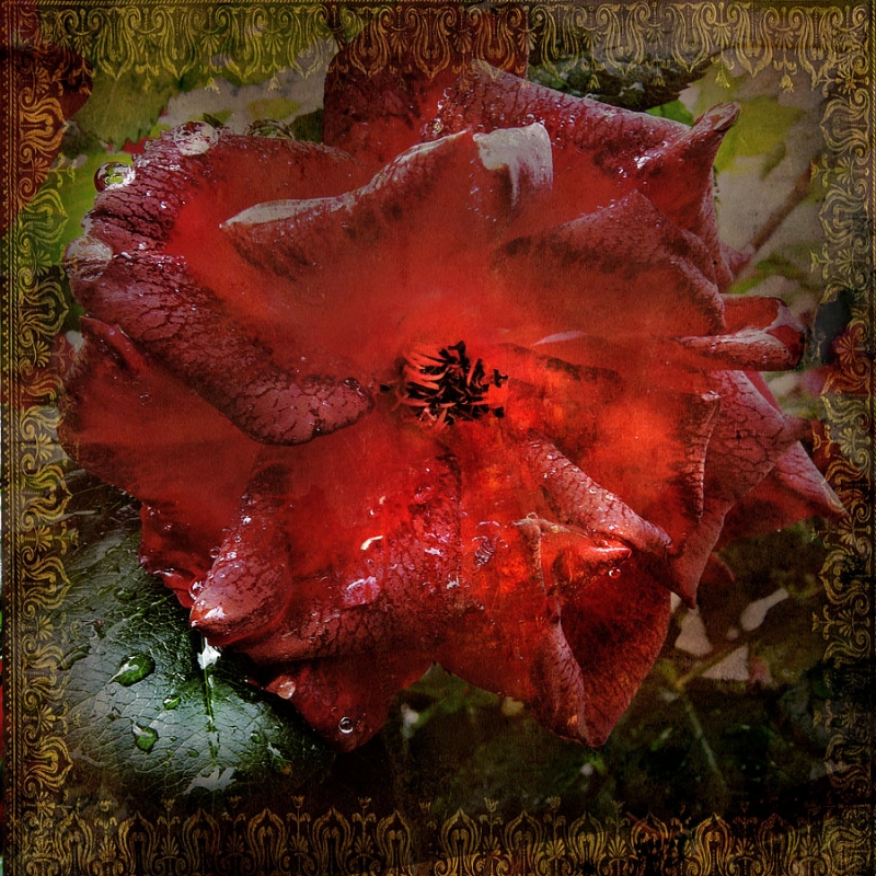 Clicca per l'immagine full size