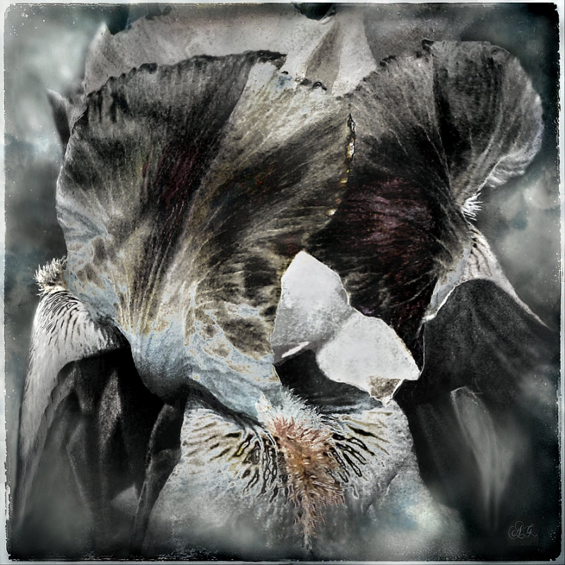 Clicca per l'immagine full size