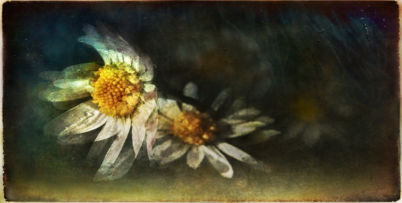 Clicca per l'immagine full size