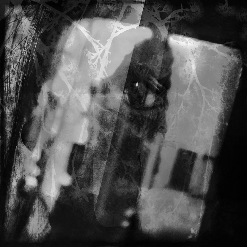 Clicca per l'immagine full size