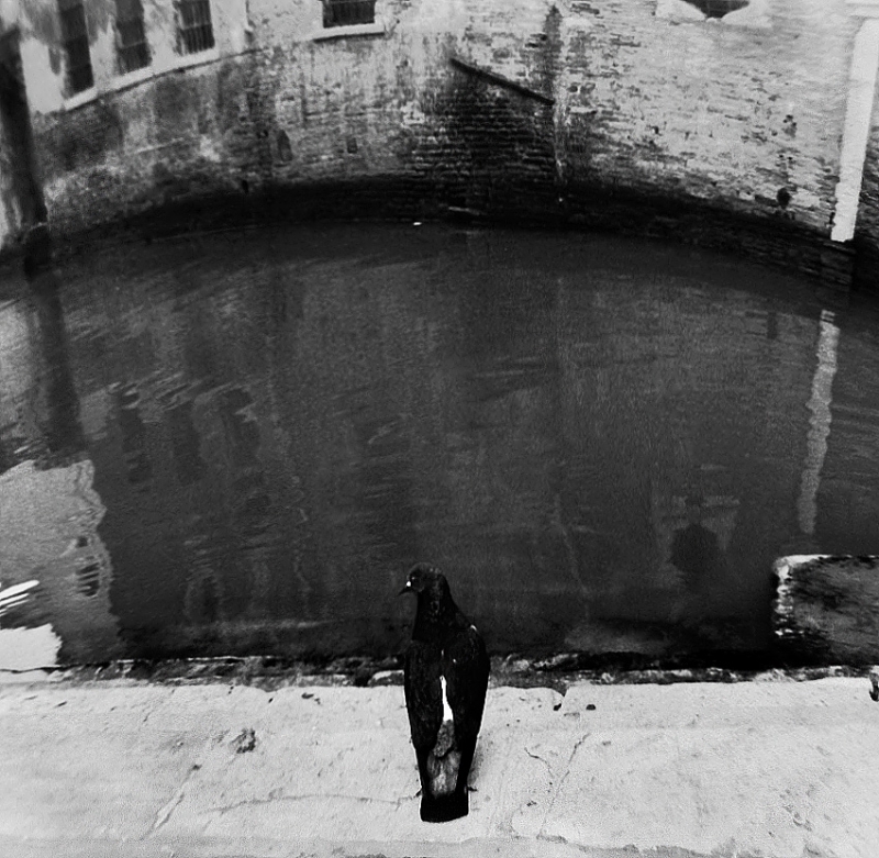 Clicca per l'immagine full size