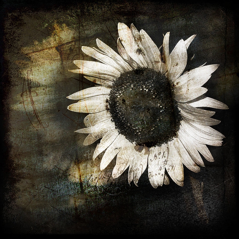 Clicca per l'immagine full size