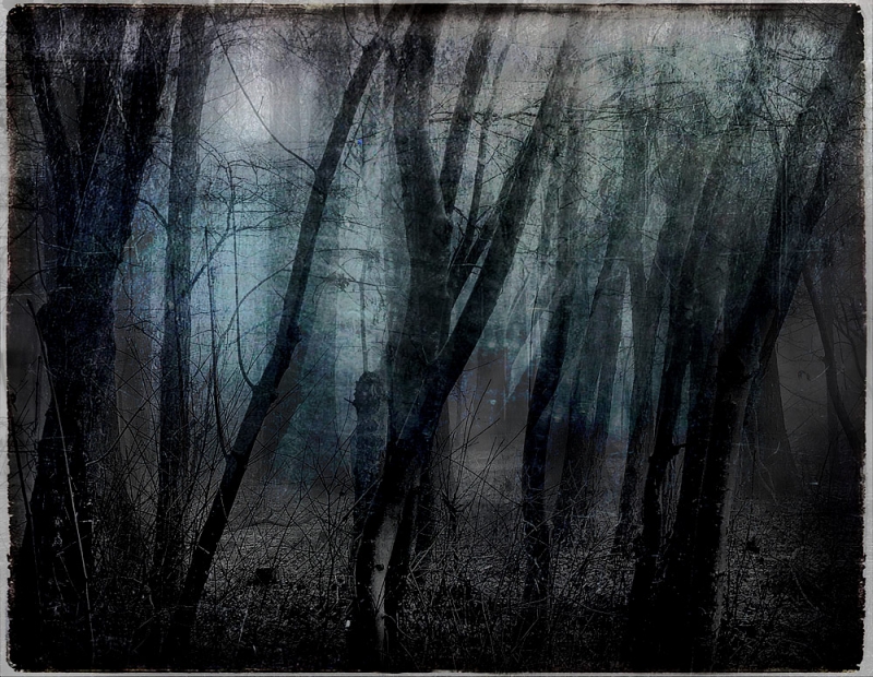 Clicca per l'immagine full size