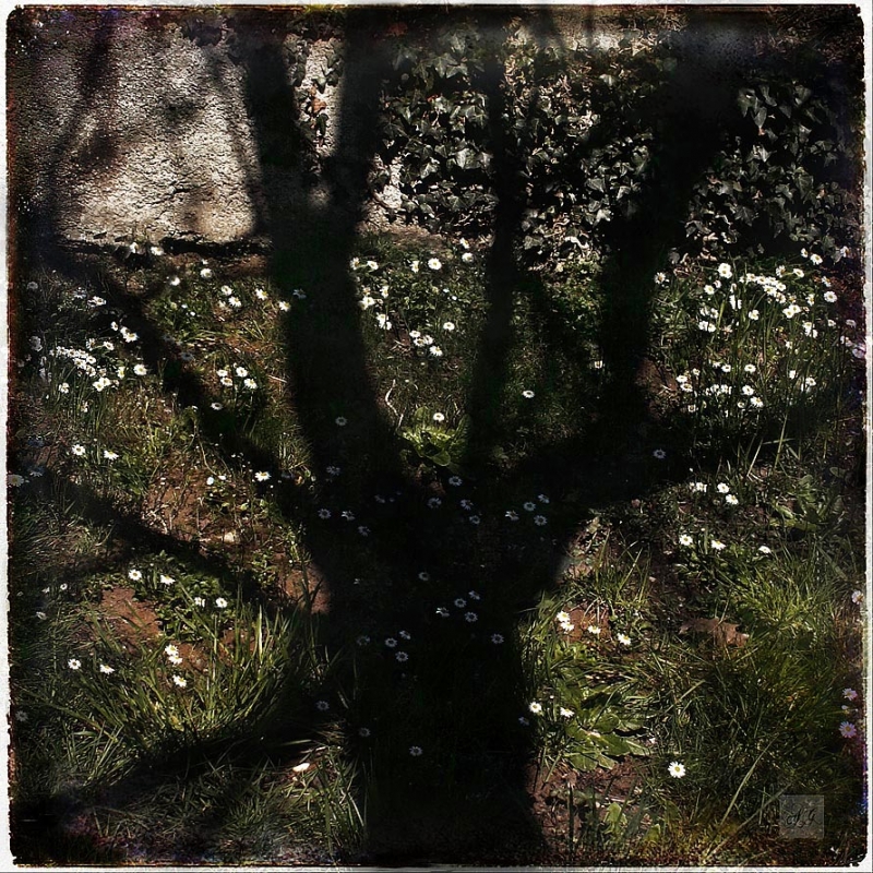 Clicca per l'immagine full size