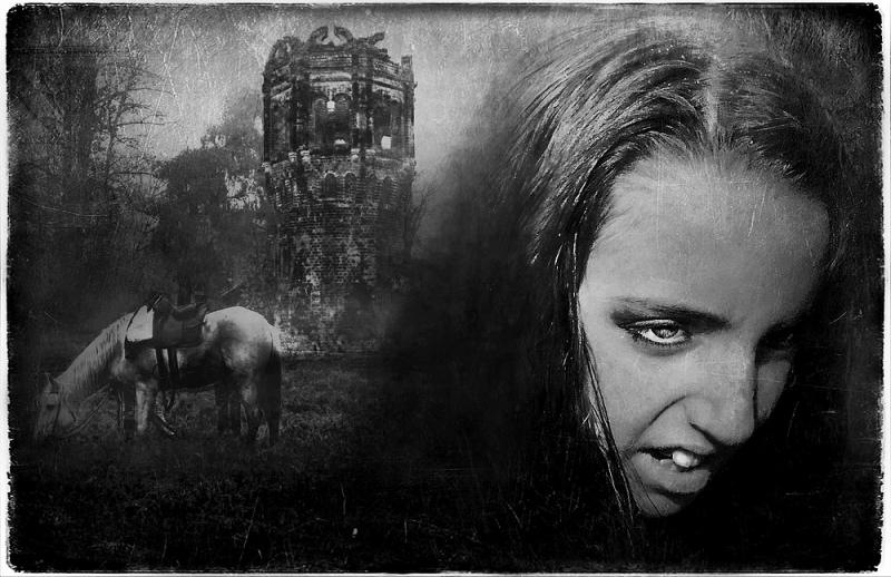 Clicca per l'immagine full size