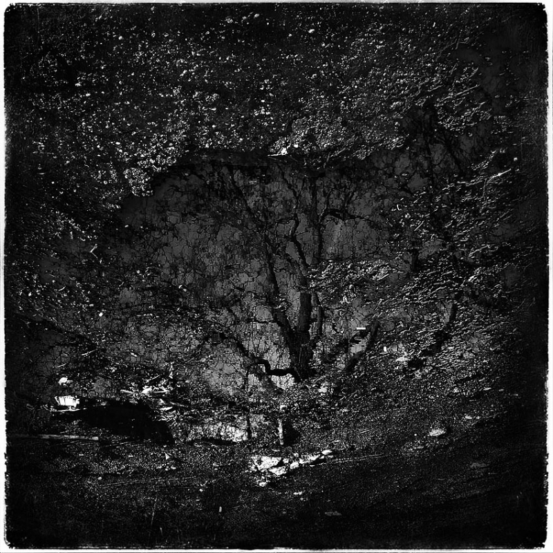 Clicca per l'immagine full size