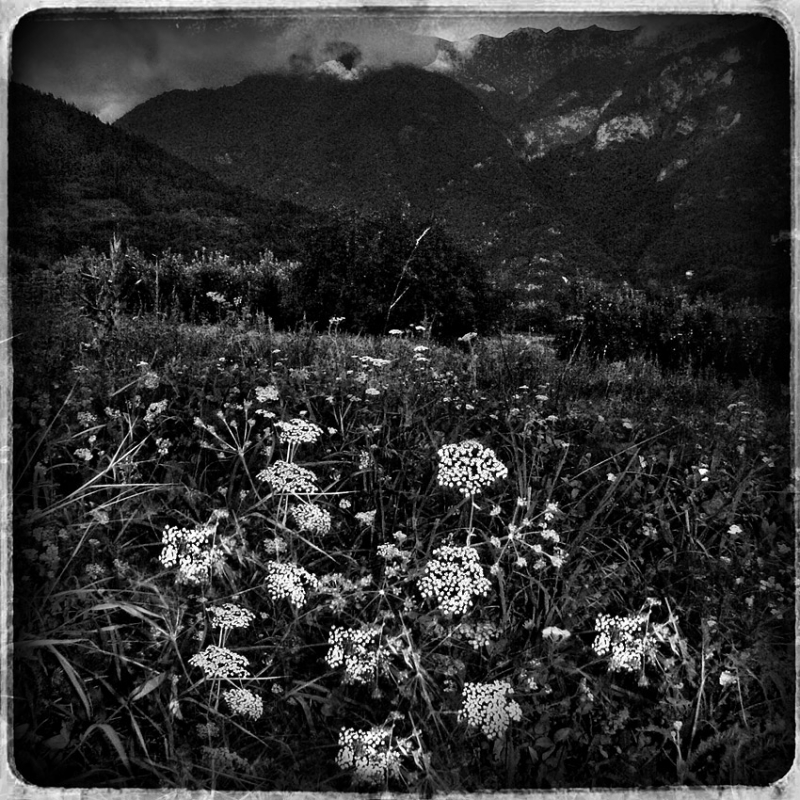 Clicca per l'immagine full size