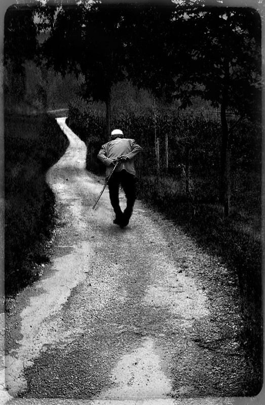 Clicca per l'immagine full size