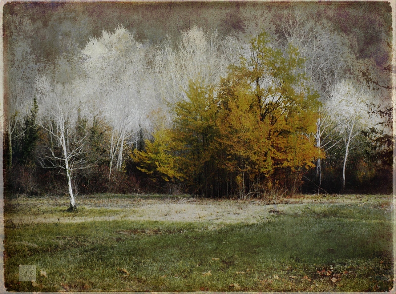 Clicca per l'immagine full size