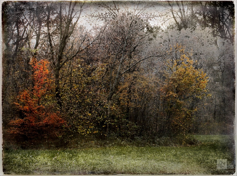 Clicca per l'immagine full size