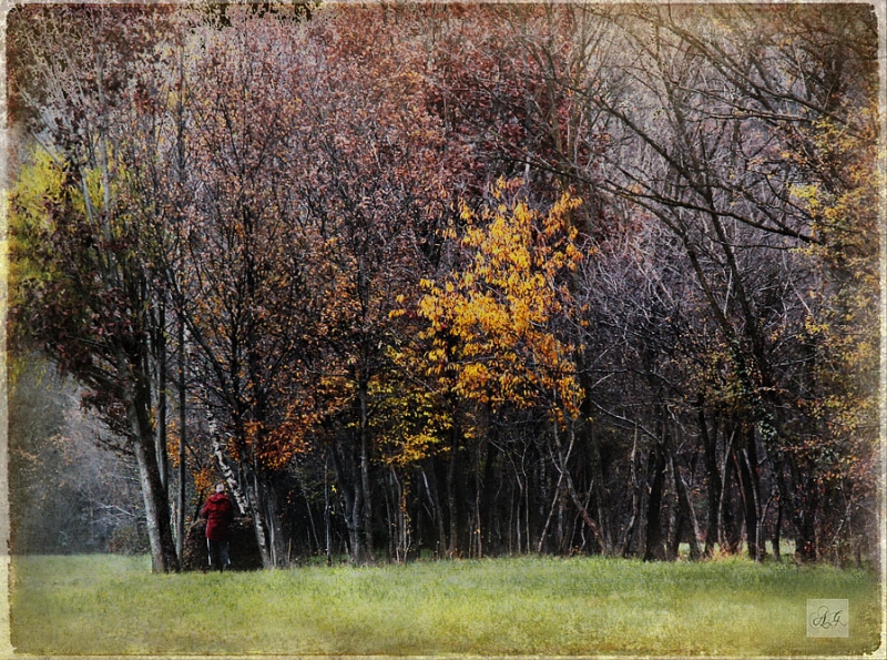 Clicca per l'immagine full size