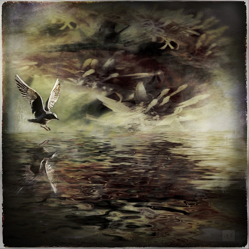 Clicca per l'immagine full size