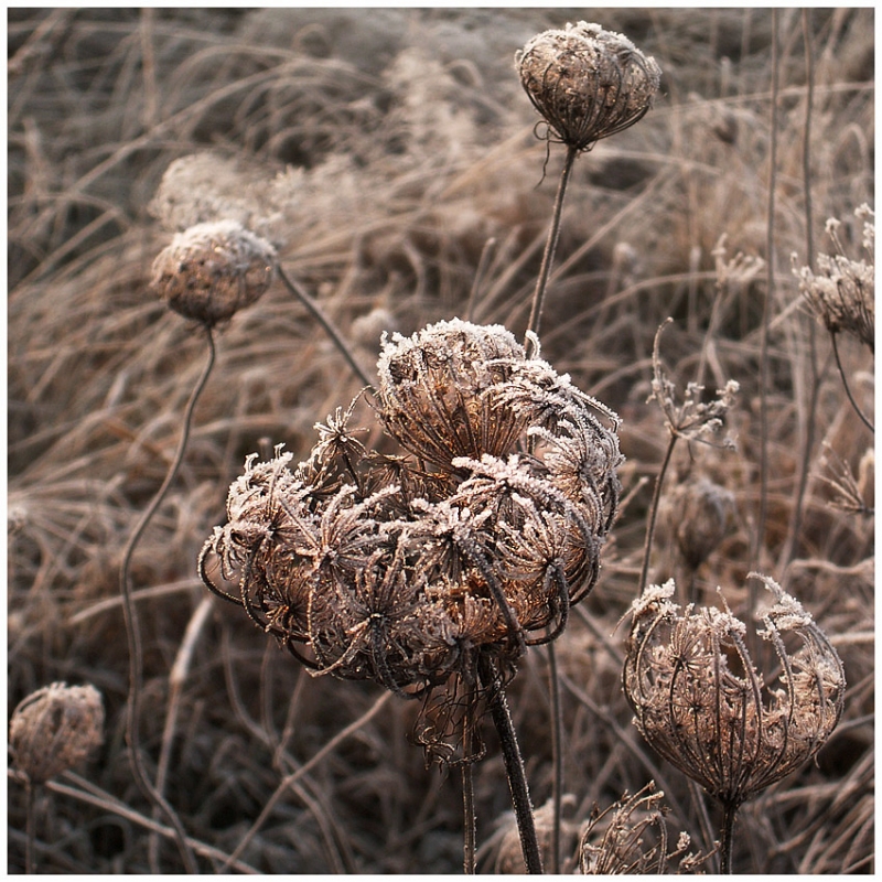 Clicca per l'immagine full size