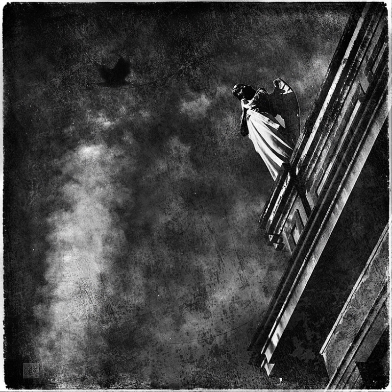 Clicca per l'immagine full size