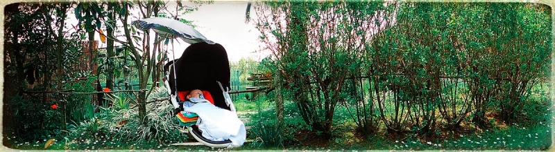 Clicca per l'immagine full size