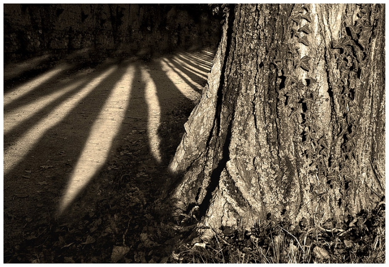 Clicca per l'immagine full size