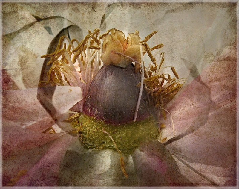 Clicca per l'immagine full size