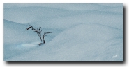 Nome File=90~0.jpg
Dimensione File=287KB
Dimensioni=1197x628
Data aggiunta=Mag 26, 2018 90~0.jpg
