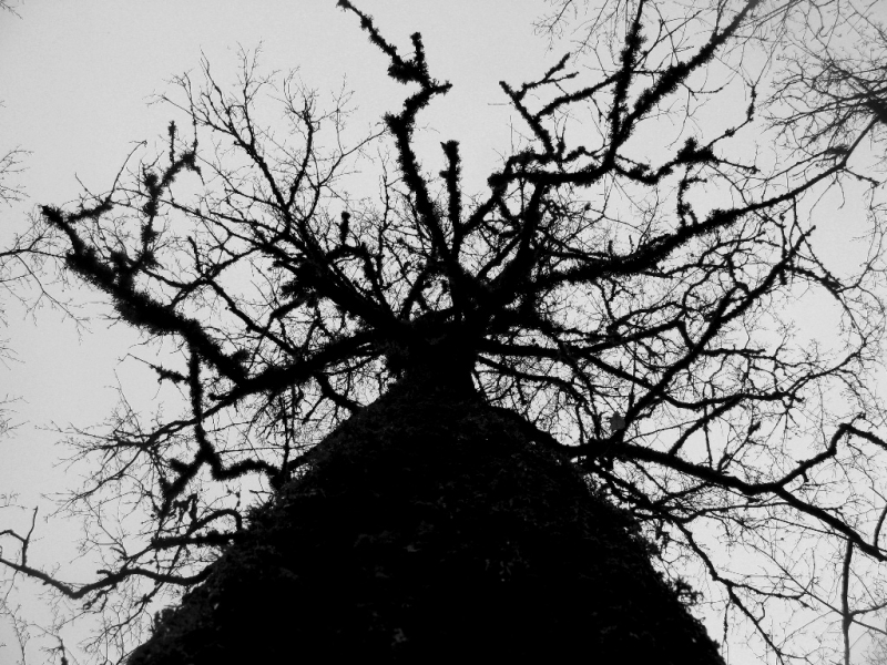Clicca per l'immagine full size