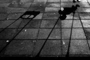Nome File=Game_-_Anna_Montuoriw.jpg
Dimensione File=125KB
Dimensioni=432x288
Data aggiunta=Ago 23, 2010 Game_-_Anna_Montuoriw.jpg