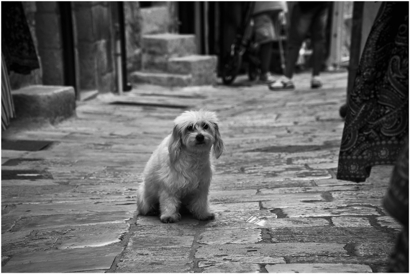Clicca per l'immagine full size