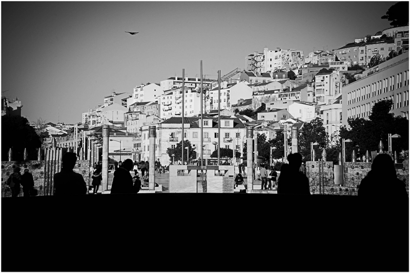 Clicca per l'immagine full size