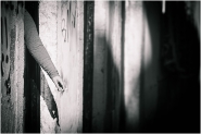 757F2120-7648-49C1-96D5-B80887A2F7A4.jpeg