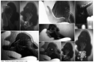 INTROSPECTIVE_collage.jpg INTROSPECTIVE_collage.jpg