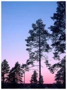 Nome File=MM_pink_dreams.jpg
Dimensione File=539KB
Dimensioni=784x1050
Data aggiunta=Ago 31, 2013 MM_pink_dreams.jpg
