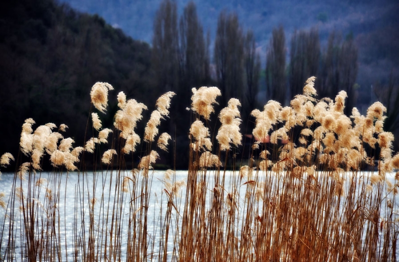 Clicca per l'immagine full size