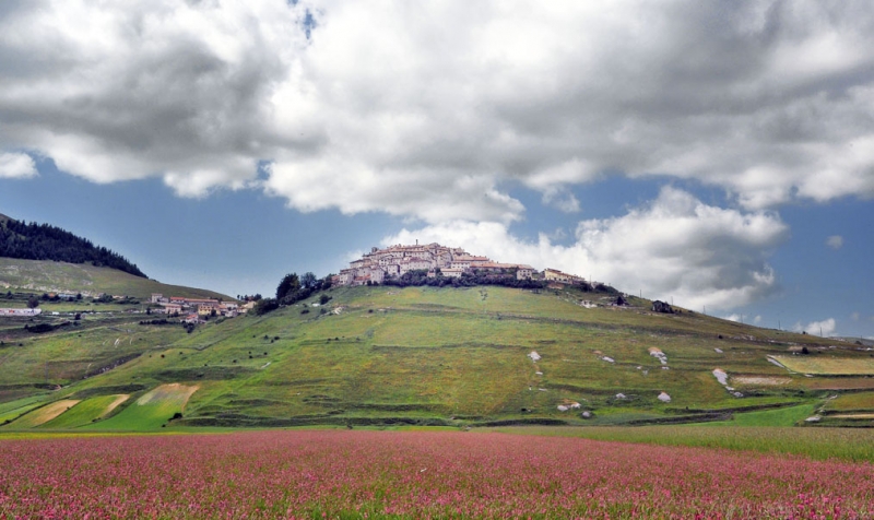 Clicca per l'immagine full size