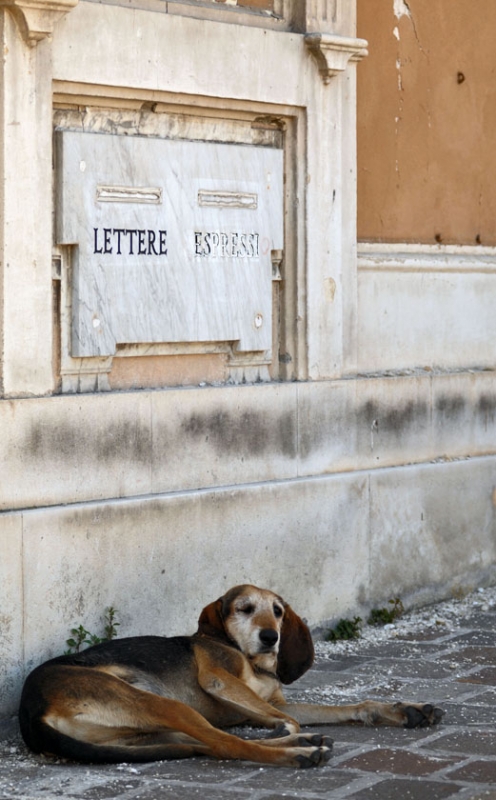 Clicca per l'immagine full size