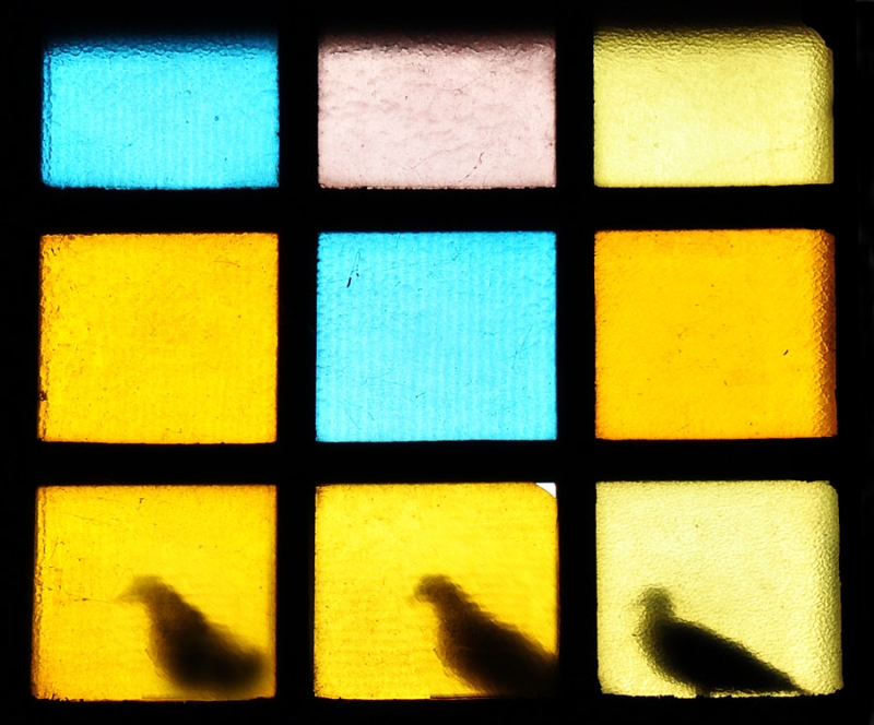 Clicca per l'immagine full size