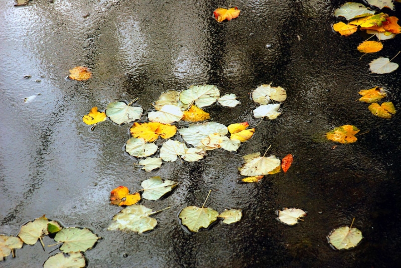 Clicca per l'immagine full size