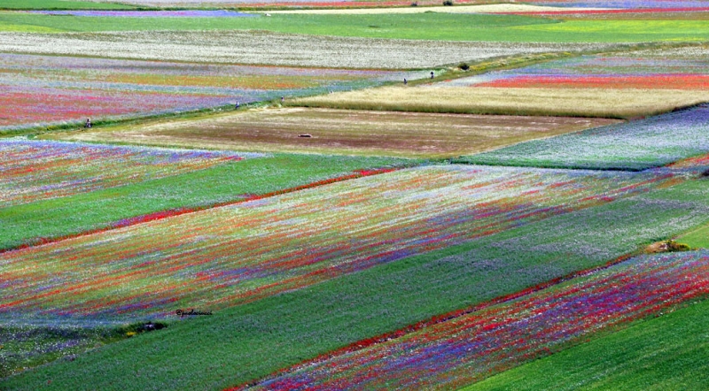 Clicca per l'immagine full size