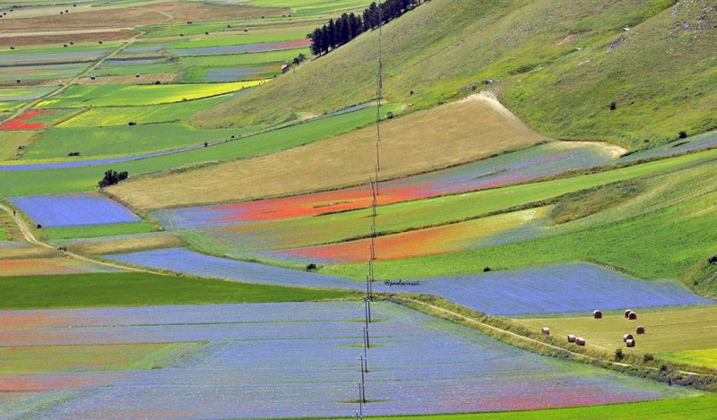 Clicca per l'immagine full size