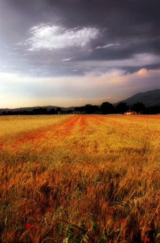Clicca per l'immagine full size