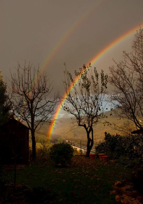 Clicca per l'immagine full size