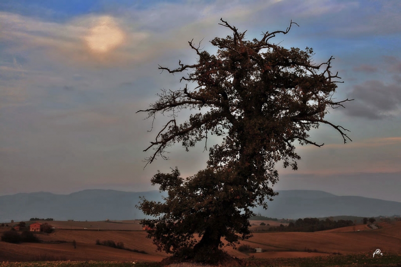 Clicca per l'immagine full size