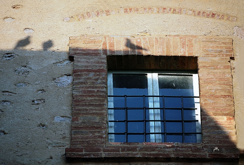 Clicca per l'immagine full size