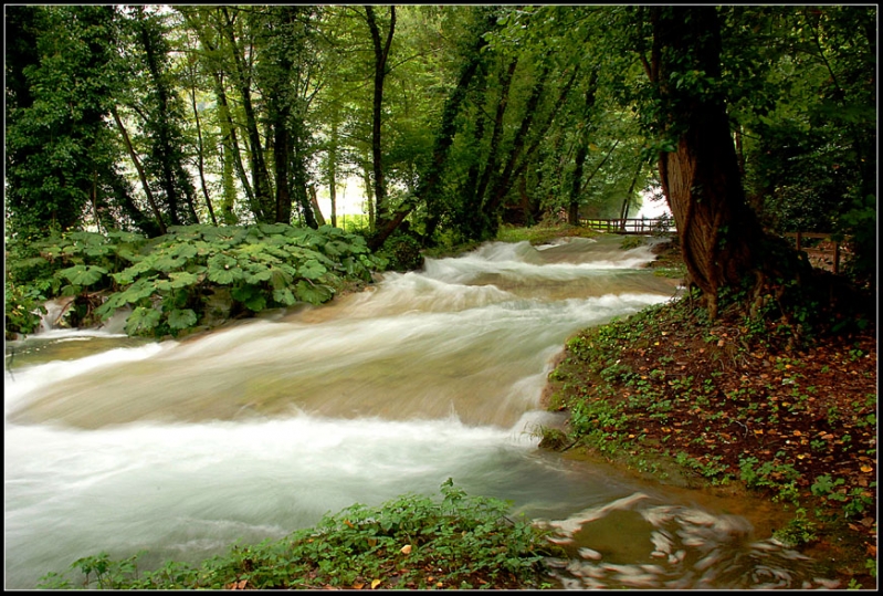 Clicca per l'immagine full size