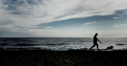 20160817_204611_fg.jpg 20160817_204611_fg.jpg